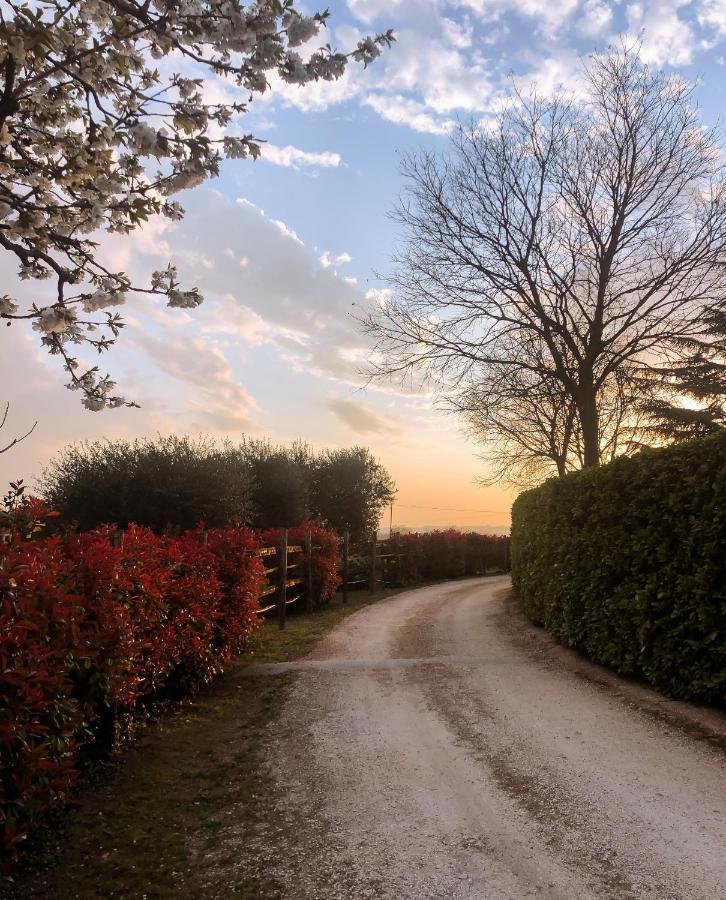 B&B Cascina Mattarelle Monzambano Exterior photo