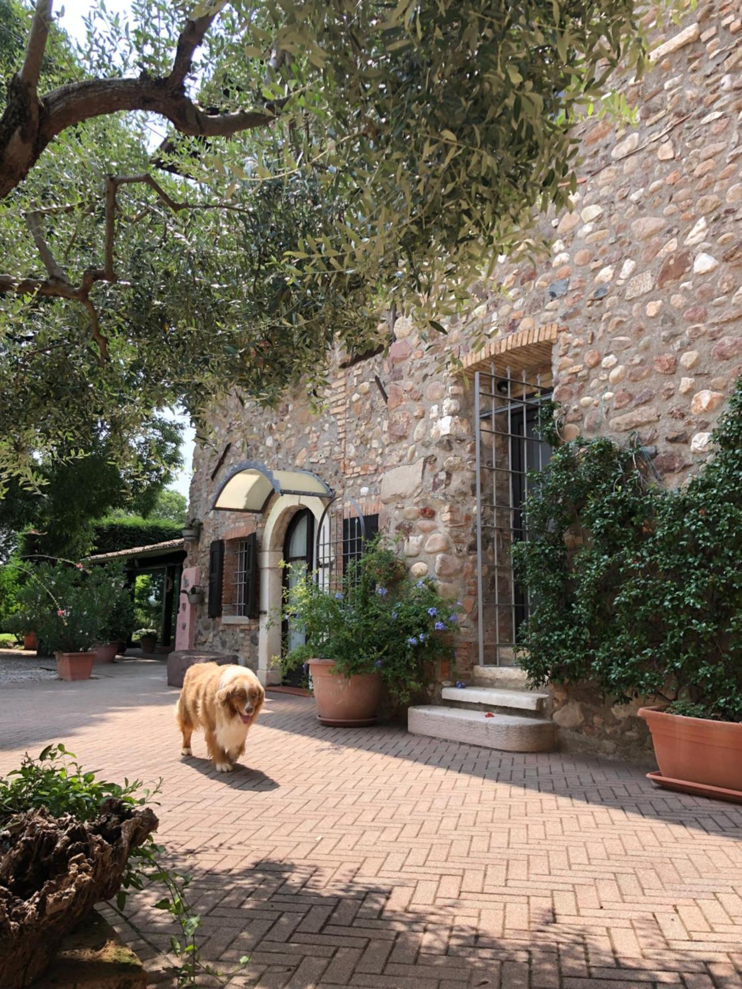B&B Cascina Mattarelle Monzambano Exterior photo
